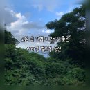 사라봉 | 도심 속 가볍게 오르기 좋은 사라봉 별도봉 등산