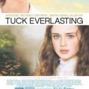 에버래스팅(everlasting)
