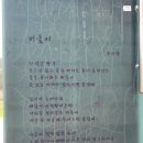 우포에버들국수