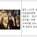 수목관리 이미지
