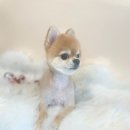 도그허니 이미지