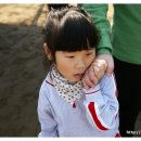 새샘초등학교 병설유치원 이미지