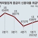 저축銀 대출 줄이자… 카드-캐피털 대출, 반년새 2.5배로 이미지