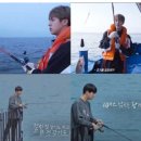 인기참치 이미지