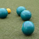 장애인론볼연맹 이미지