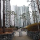 안산푸른약국 이미지