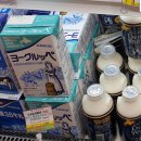 한국야쿠르트홍성점 | [신치토세공항쇼핑]홋카이도 요구르트 : Bocca와 멸균요구르트