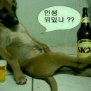 지금 이미지