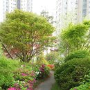 써치공인중개사사무소 이미지