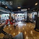 레몬트리짐