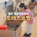 민아농장 | 동물 먹이 체험과 딸기 수확도 할 수 있는 용인 포레스트벨