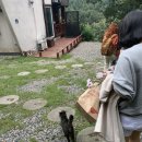 델루나 민박 이미지