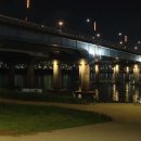 “강아지도 얼음물 줘요”…서울 올해 첫 열대야주의보 이미지
