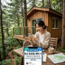 정원빌딩 신축공사 | 조령산 자연휴양림 트리하우스 예약 방법 30호 신축 2인 정원 기준