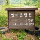 한마음펜션 이미지