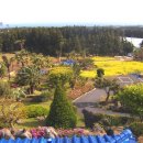 제주궁전 이미지