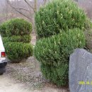 대자연농원 이미지