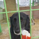 (주)케이덴탈 이미지