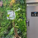 플러스치과기공소 이미지