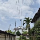 호텔패션(HOTEL PASSION) | 태국 치앙마이 리스호텔 Lis Hotel Chiangmai 객실 조식 시설