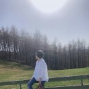 왕골목장 | [코바늘diy] 유행없는 손뜨개가방 사용후기