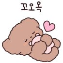 숲길 강아지 이미지