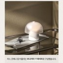 성공인테리어
