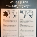 화육가