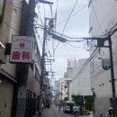자이언트 서초 까만돌자전거 | 🇯🇵 240724 여름방학(텐진마츠리 전야제_오사카)