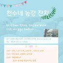천수농장 Daum카페