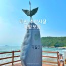 학암포항 | 태안 수산시장 학암포항 회센터 회포장 해먹기