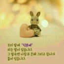 이** - 8198 | 이**