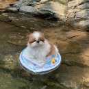산신 이미지