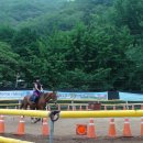 동서울 승마장 이미지