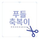 앤독살롱
