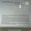 용담동 선사무덤유적 | 부여, 백제만 있는게 아니라 청동기시대도 있네요[부여 송국리 유적,산직리 지석묘 둘러보기]