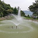 카페아셀