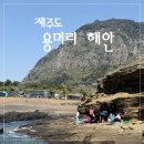 안덕면 용머리 공영주차장 입구 | 제주 여행) 날씨 운이 좋아야 갈 수 있는 용머리 해안, 드디어 다녀온 후기