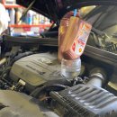 라이언모터스 이미지