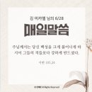 🏰 성 이레네오 주교 학자 순교자 기념일 이미지