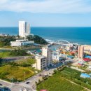 스카리아 이미지