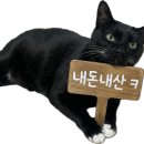 아라헤어톡 | 잠실 스냅사진 메이크업 후기 ｜글림수메이크업 아라실장