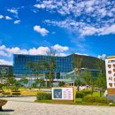 리도203호선 1 이미지