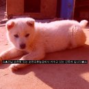 안방농장2 이미지