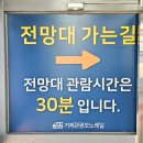거제관광모노레일 | 경남 거제 가볼만한 곳 거제도 관광 모노레일 가격 예약 탑승 후기
