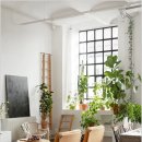 플랜테리어 이미지