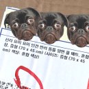 요미요미 강아지미용실 | 신라 요미요미 인견 반려견 동물 양면쿨매트 강아지는 행복해