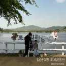 주만농장 | 경산 포니힐링농원 아이와 가기 좋은 체험형 힐링공유팜 후기