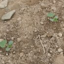 동아장식 - 강북구 노해로11길 36 | 동아장식