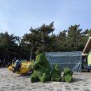 연곡면사무소 | 강릉 동해바다 앞 연곡솔향기캠핑장 E구역 차박 1박 2일